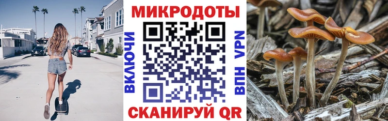 кракен сайт  Новосиль  Псилоцибиновые грибы Psilocybine cubensis 